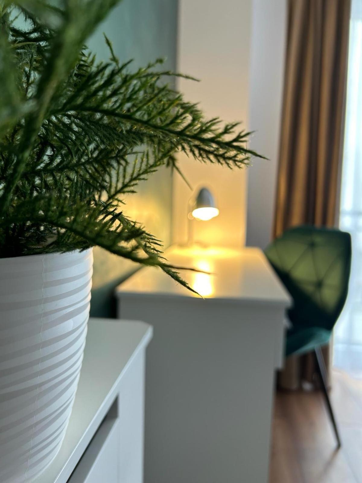 Central Cosy Apartment คลูจ-นาโปกา ภายนอก รูปภาพ