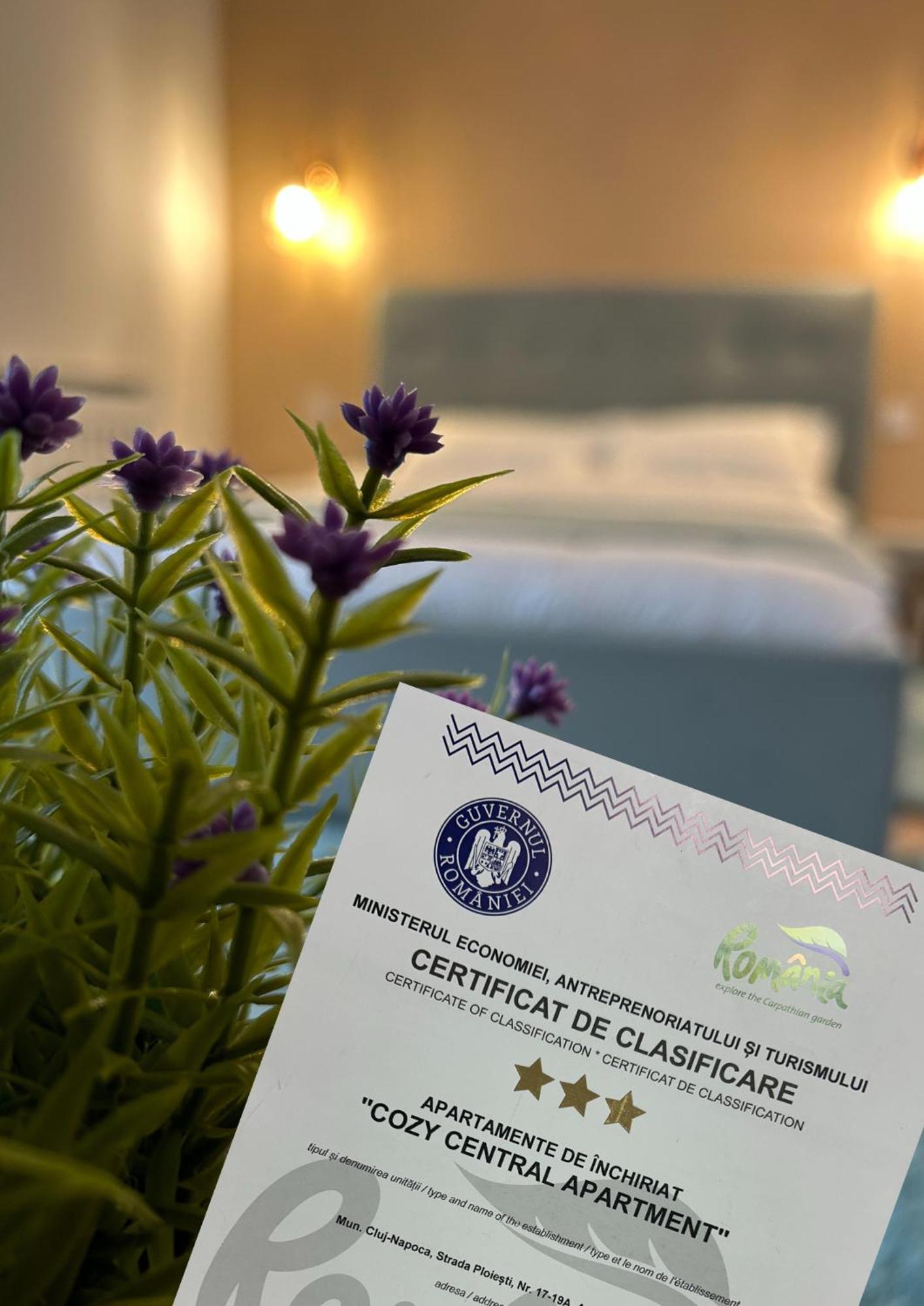 Central Cosy Apartment คลูจ-นาโปกา ภายนอก รูปภาพ